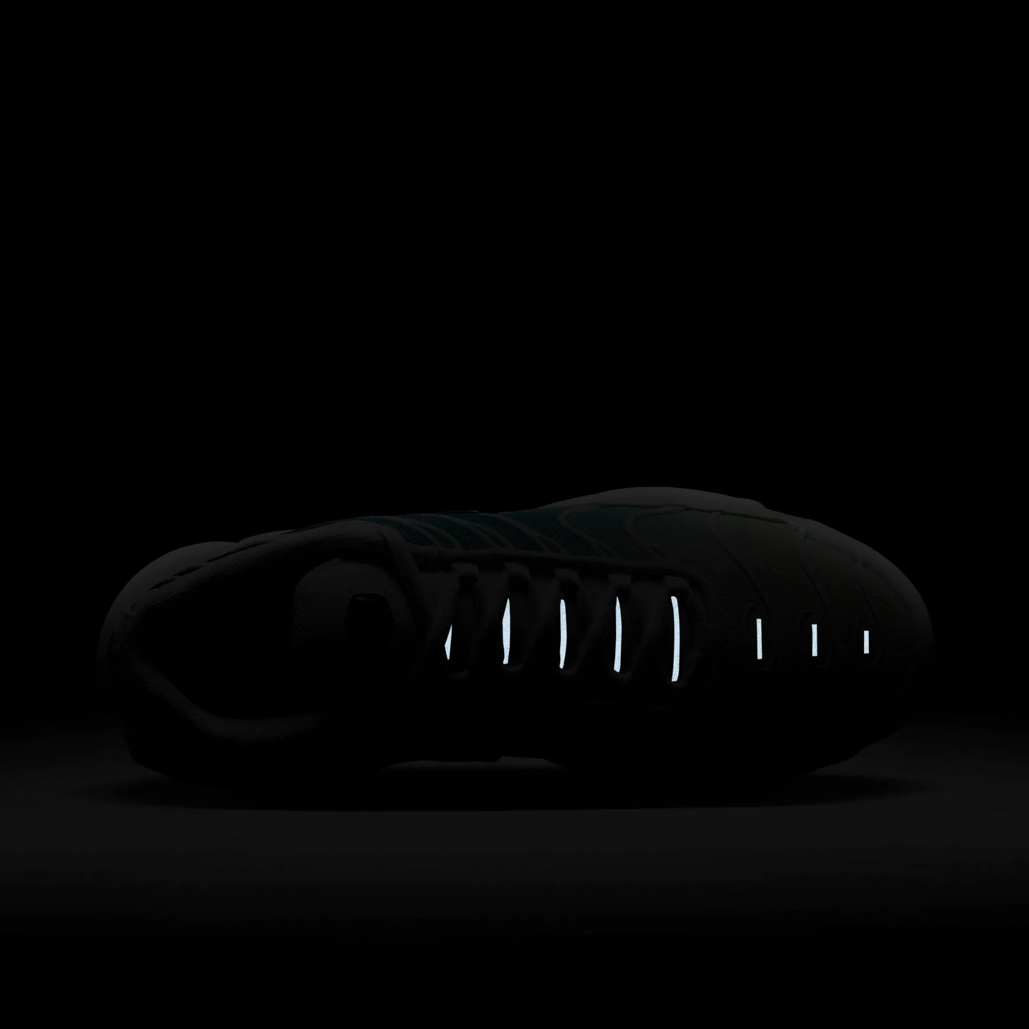 WMNS Nike Air Max plus Dusty Cactus 🌵
